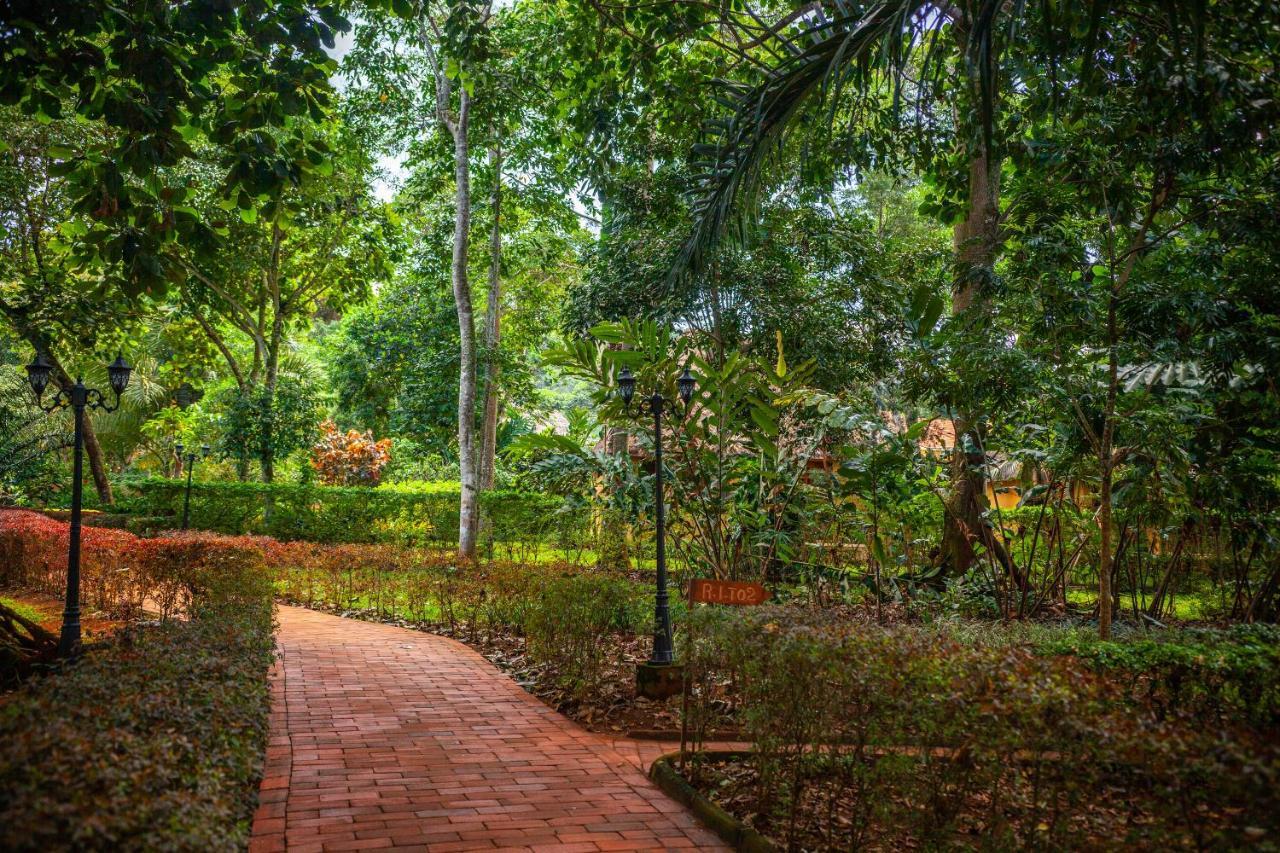 Brovad Sands Lodge Kalangala Exterior photo