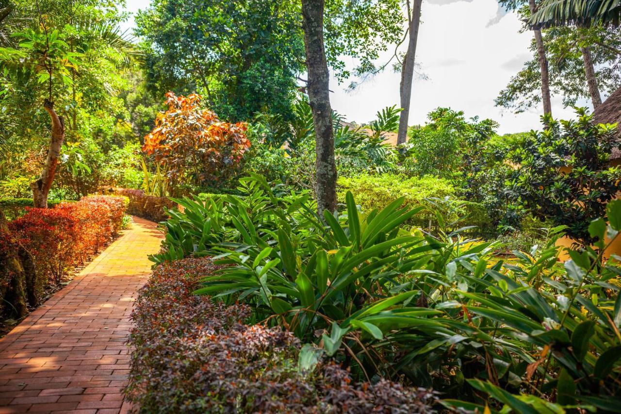 Brovad Sands Lodge Kalangala Exterior photo